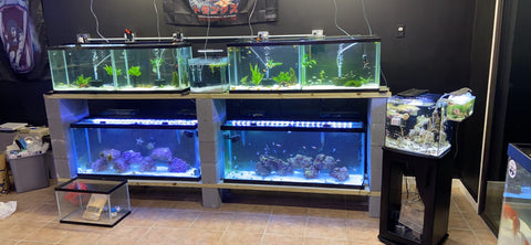 Freshwater Equipment & Supplies