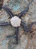 Black Brittle Star (Ophiocoma aethiops) — Photo: Daniel Velasco C., CC BY 4.0, via Wikimedia Commons