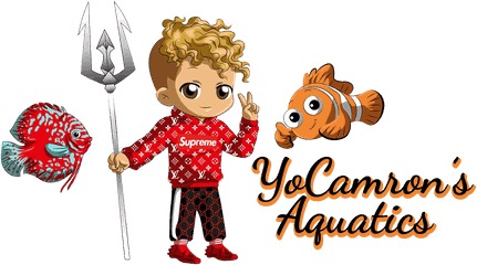 YoCamron's Aquatics