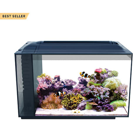 Fluval 13.5 Gallon Evo Marine Aquarium Kit - YoCamron’s Aquatics