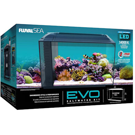 Fluval 13.5 Gallon Evo Marine Aquarium Kit - YoCamron’s Aquatics
