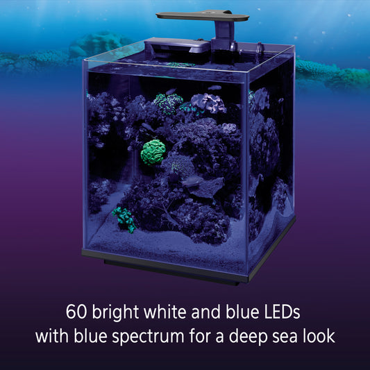 Coralife LED Clip On Light - YoCamron’s Aquatics