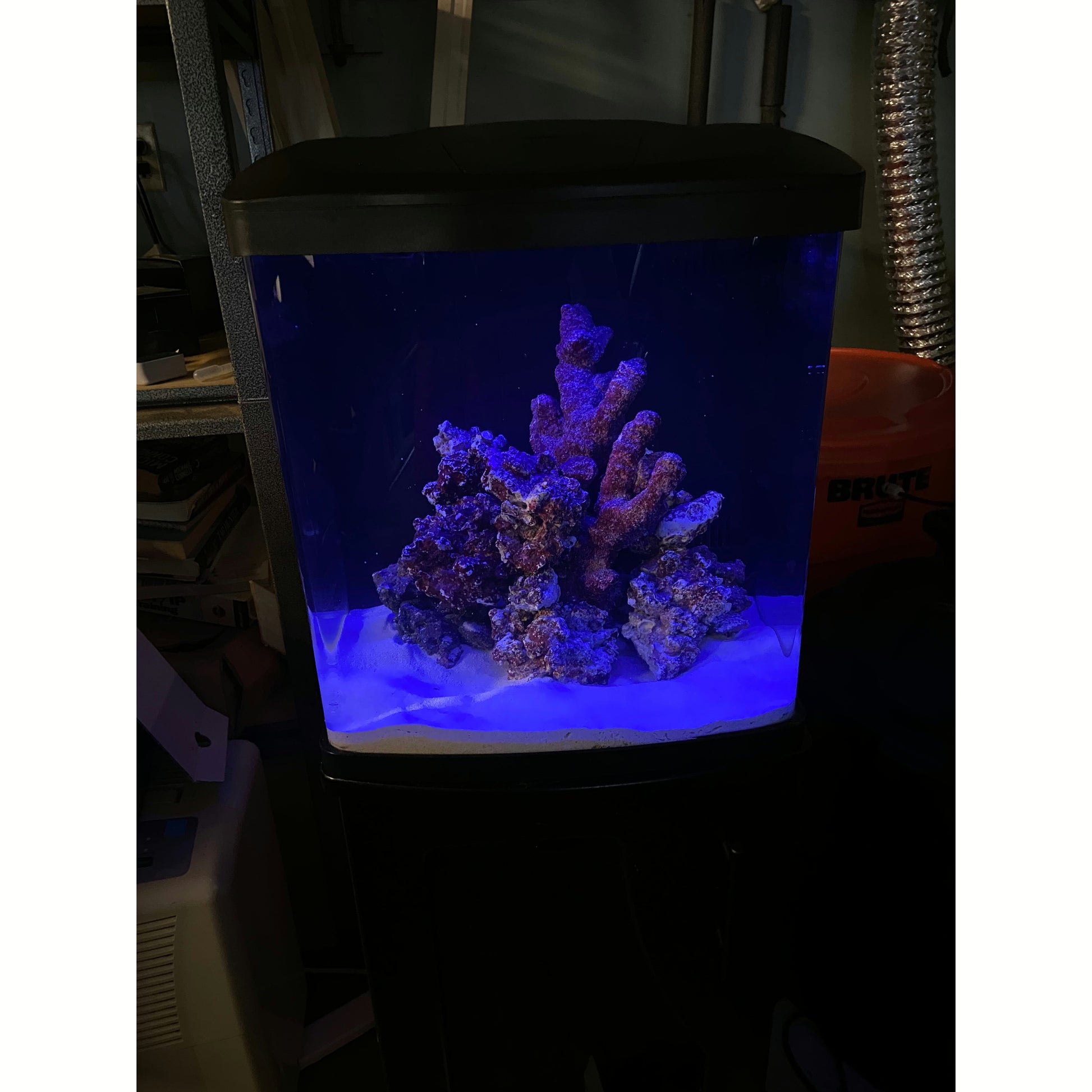 Biocube 16 Gallon LED Aquarium ONLY - YoCamron’s Aquatics